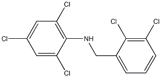 2,4,6-trichloro-N-[(2,3-dichlorophenyl)methyl]aniline 化学構造式