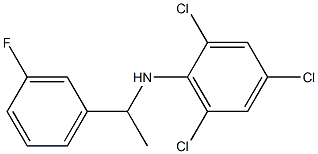 2,4,6-trichloro-N-[1-(3-fluorophenyl)ethyl]aniline 化学構造式