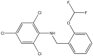 2,4,6-trichloro-N-{[2-(difluoromethoxy)phenyl]methyl}aniline