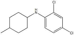 2,4-dichloro-N-(4-methylcyclohexyl)aniline 化学構造式