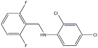 2,4-dichloro-N-[(2,6-difluorophenyl)methyl]aniline 结构式