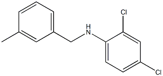 2,4-dichloro-N-[(3-methylphenyl)methyl]aniline Structure