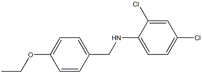 2,4-dichloro-N-[(4-ethoxyphenyl)methyl]aniline 化学構造式