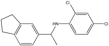 2,4-dichloro-N-[1-(2,3-dihydro-1H-inden-5-yl)ethyl]aniline Structure