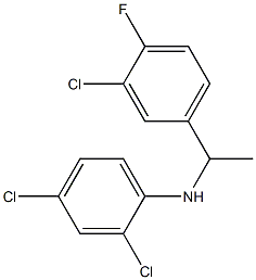 2,4-dichloro-N-[1-(3-chloro-4-fluorophenyl)ethyl]aniline Struktur