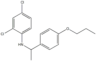 2,4-dichloro-N-[1-(4-propoxyphenyl)ethyl]aniline Structure