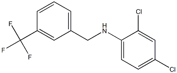 2,4-dichloro-N-{[3-(trifluoromethyl)phenyl]methyl}aniline 结构式