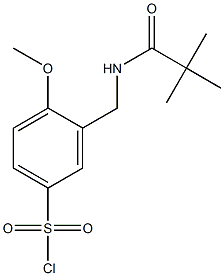  3-[(2,2-dimethylpropanamido)methyl]-4-methoxybenzene-1-sulfonyl chloride