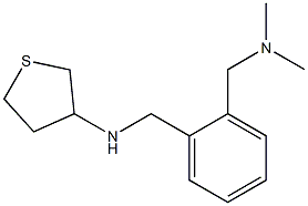 N-({2-[(dimethylamino)methyl]phenyl}methyl)thiolan-3-amine Structure