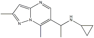 N-(1-{2,7-dimethylpyrazolo[1,5-a]pyrimidin-6-yl}ethyl)cyclopropanamine 化学構造式