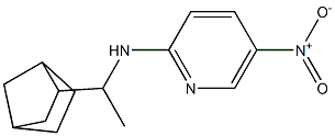 N-(1-{bicyclo[2.2.1]heptan-2-yl}ethyl)-5-nitropyridin-2-amine Struktur