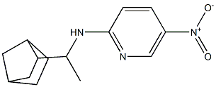 N-(1-{bicyclo[2.2.1]heptan-2-yl}ethyl)-5-nitropyridin-2-amine 化学構造式