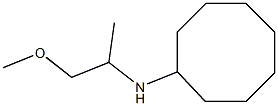 N-(1-methoxypropan-2-yl)cyclooctanamine,,结构式