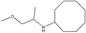  N-(1-methoxypropan-2-yl)cyclooctanamine