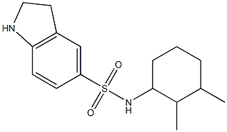 N-(2,3-dimethylcyclohexyl)-2,3-dihydro-1H-indole-5-sulfonamide,,结构式