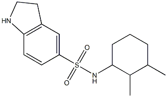 N-(2,3-dimethylcyclohexyl)-2,3-dihydro-1H-indole-5-sulfonamide|