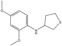 N-(2,4-dimethoxyphenyl)thiolan-3-amine Structure