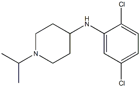 N-(2,5-dichlorophenyl)-1-(propan-2-yl)piperidin-4-amine Structure