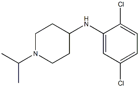 N-(2,5-dichlorophenyl)-1-(propan-2-yl)piperidin-4-amine|