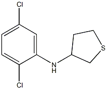 N-(2,5-dichlorophenyl)thiolan-3-amine Structure