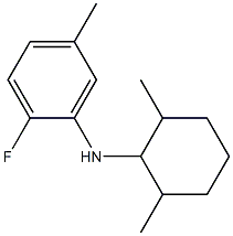 N-(2,6-dimethylcyclohexyl)-2-fluoro-5-methylaniline Structure