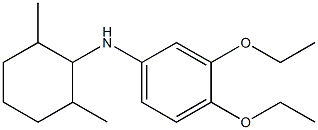 N-(2,6-dimethylcyclohexyl)-3,4-diethoxyaniline Structure