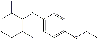 N-(2,6-dimethylcyclohexyl)-4-ethoxyaniline Structure