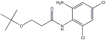 N-(2-amino-4,6-dichlorophenyl)-3-(tert-butoxy)propanamide,,结构式
