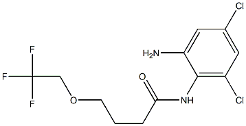 N-(2-amino-4,6-dichlorophenyl)-4-(2,2,2-trifluoroethoxy)butanamide Structure