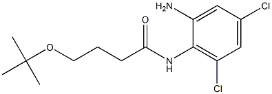 N-(2-amino-4,6-dichlorophenyl)-4-(tert-butoxy)butanamide 结构式