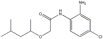 N-(2-amino-4-chlorophenyl)-2-[(4-methylpentan-2-yl)oxy]acetamide|