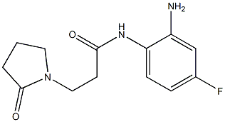 N-(2-amino-4-fluorophenyl)-3-(2-oxopyrrolidin-1-yl)propanamide Structure