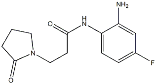 N-(2-amino-4-fluorophenyl)-3-(2-oxopyrrolidin-1-yl)propanamide|