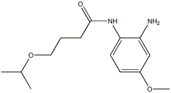 N-(2-amino-4-methoxyphenyl)-4-(propan-2-yloxy)butanamide 结构式