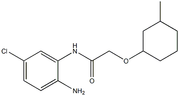 N-(2-amino-5-chlorophenyl)-2-[(3-methylcyclohexyl)oxy]acetamide Structure