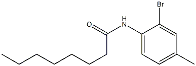N-(2-bromo-4-methylphenyl)octanamide Struktur