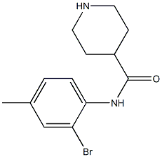 N-(2-bromo-4-methylphenyl)piperidine-4-carboxamide 化学構造式