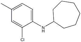 N-(2-chloro-4-methylphenyl)cycloheptanamine 化学構造式