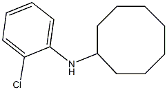 N-(2-chlorophenyl)cyclooctanamine 结构式