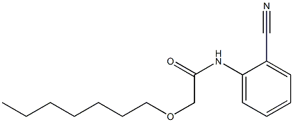 N-(2-cyanophenyl)-2-(heptyloxy)acetamide 结构式