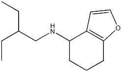 N-(2-ethylbutyl)-4,5,6,7-tetrahydro-1-benzofuran-4-amine Struktur