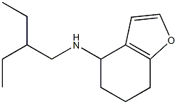 N-(2-ethylbutyl)-4,5,6,7-tetrahydro-1-benzofuran-4-amine,,结构式