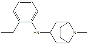 N-(2-ethylphenyl)-8-methyl-8-azabicyclo[3.2.1]octan-3-amine 结构式