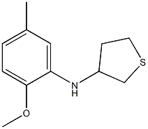 N-(2-methoxy-5-methylphenyl)thiolan-3-amine 化学構造式