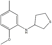  N-(2-methoxy-5-methylphenyl)thiolan-3-amine