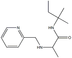 N-(2-methylbutan-2-yl)-2-[(pyridin-2-ylmethyl)amino]propanamide,,结构式