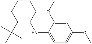  N-(2-tert-butylcyclohexyl)-2,4-dimethoxyaniline