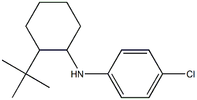 N-(2-tert-butylcyclohexyl)-4-chloroaniline 化学構造式