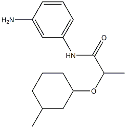 N-(3-aminophenyl)-2-[(3-methylcyclohexyl)oxy]propanamide Structure