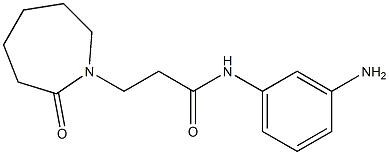 N-(3-aminophenyl)-3-(2-oxoazepan-1-yl)propanamide 结构式